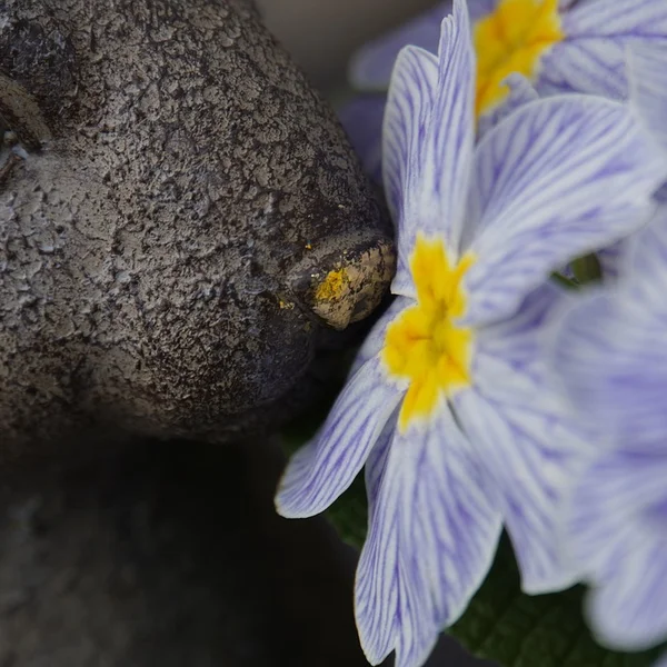 凤凰娱乐棋牌游戏